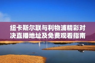 纽卡斯尔联与利物浦精彩对决直播地址及免费观看指南