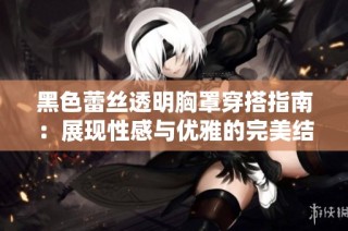 黑色蕾丝透明胸罩穿搭指南：展现性感与优雅的完美结合技巧