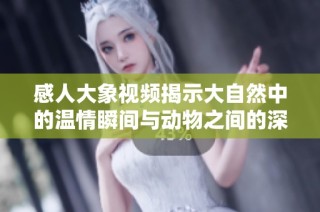 感人大象视频揭示大自然中的温情瞬间与动物之间的深厚情感