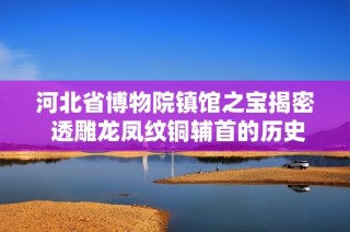 河北省博物院镇馆之宝揭密 透雕龙凤纹铜辅首的历史与艺术价值