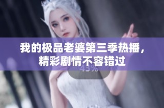 我的极品老婆第三季热播，精彩剧情不容错过