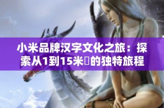 小米品牌汉字文化之旅：探索从1到15米姵的独特旅程与深刻内涵