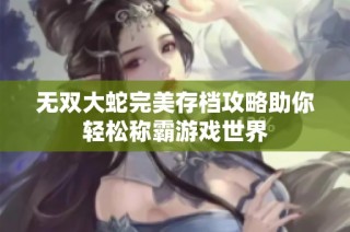 无双大蛇完美存档攻略助你轻松称霸游戏世界