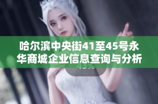 哈尔滨中央街41至45号永华商城企业信息查询与分析