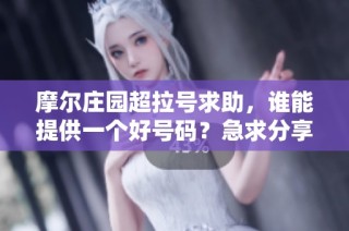 摩尔庄园超拉号求助，谁能提供一个好号码？急求分享！
