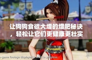 让狗狗食欲大增的增肥秘诀，轻松让它们更健康更壮实