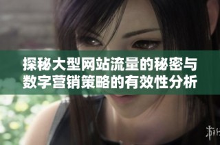 探秘大型网站流量的秘密与数字营销策略的有效性分析
