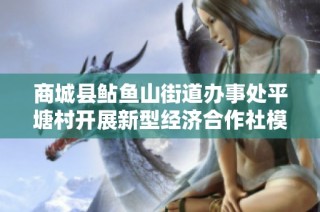 商城县鲇鱼山街道办事处平塘村开展新型经济合作社模式探索