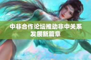 中非合作论坛推动非中关系发展新篇章