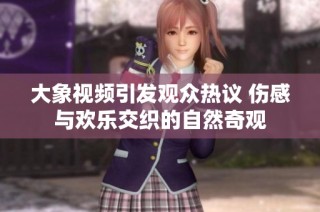 大象视频引发观众热议 伤感与欢乐交织的自然奇观