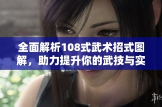 全面解析108式武术招式图解，助力提升你的武技与实战能力