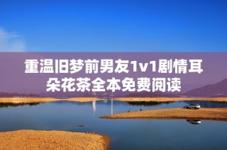 重温旧梦前男友1v1剧情耳朵花茶全本免费阅读