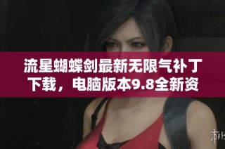 流星蝴蝶剑最新无限气补丁下载，电脑版本9.8全新资源分享与安装指南