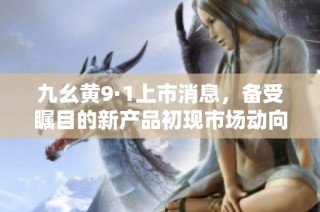 九幺黄9·1上市消息，备受瞩目的新产品初现市场动向