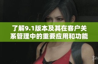 了解9.1版本及其在客户关系管理中的重要应用和功能解析