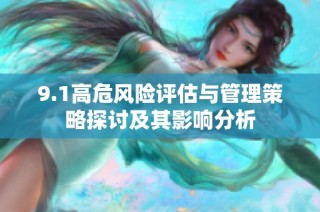 9.1高危风险评估与管理策略探讨及其影响分析