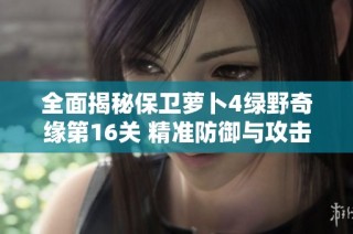 全面揭秘保卫萝卜4绿野奇缘第16关 精准防御与攻击策略解析