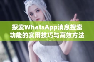 探索WhatsApp消息搜索功能的实用技巧与高效方法