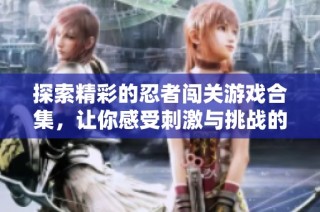 探索精彩的忍者闯关游戏合集，让你感受刺激与挑战的乐趣