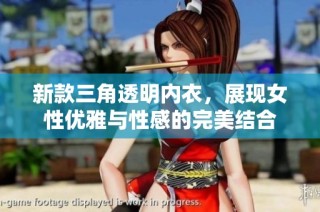 新款三角透明内衣，展现女性优雅与性感的完美结合
