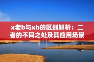x老b与xb的区别解析：二者的不同之处及其应用场景探讨