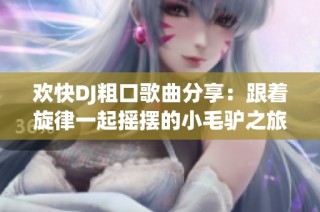 欢快DJ粗口歌曲分享：跟着旋律一起摇摆的小毛驴之旅
