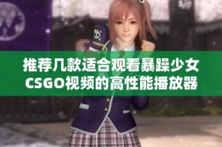 推荐几款适合观看暴躁少女CSGO视频的高性能播放器分享