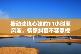 撩动沈执心弦的11小时惹风波，情感纠葛不容忽视