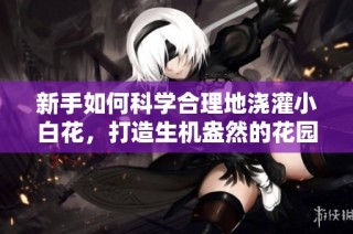 新手如何科学合理地浇灌小白花，打造生机盎然的花园