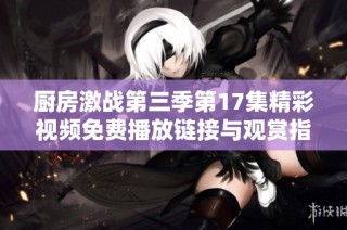 厨房激战第三季第17集精彩视频免费播放链接与观赏指南