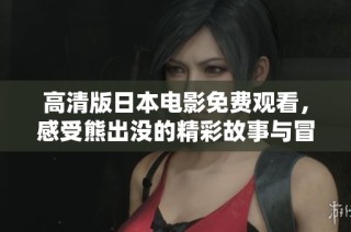 高清版日本电影免费观看，感受熊出没的精彩故事与冒险之旅