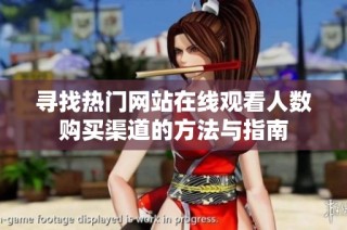 寻找热门网站在线观看人数购买渠道的方法与指南