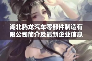 湖北腾龙汽车零部件制造有限公司简介及最新企业信息查询