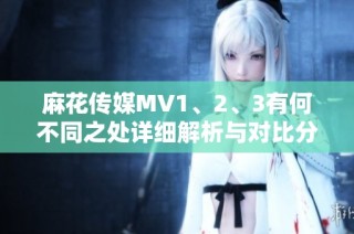 麻花传媒MV1、2、3有何不同之处详细解析与对比分析