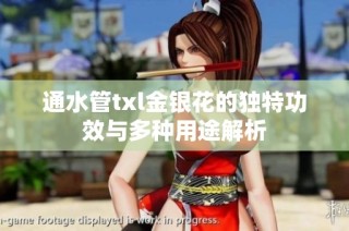 通水管txl金银花的独特功效与多种用途解析
