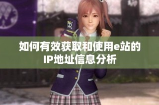 如何有效获取和使用e站的IP地址信息分析