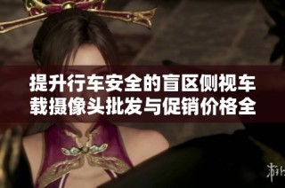 提升行车安全的盲区侧视车载摄像头批发与促销价格全面分析