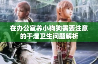 在办公室养小狗狗需要注意的干湿卫生问题解析