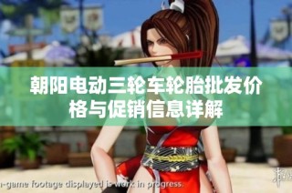 朝阳电动三轮车轮胎批发价格与促销信息详解