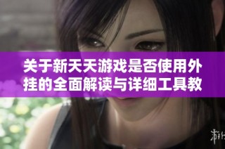 关于新天天游戏是否使用外挂的全面解读与详细工具教程分享