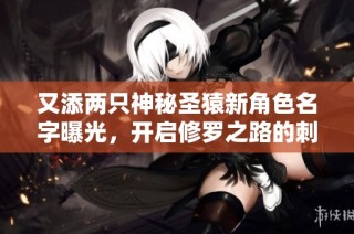 又添两只神秘圣猿新角色名字曝光，开启修罗之路的刺激冒险