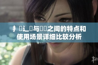 扌喿辶畐与畐畬之间的特点和使用场景详细比较分析