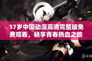 17岁中国动漫高清完整版免费观看，畅享青春热血之旅