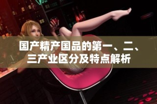 国产精产国品的第一、二、三产业区分及特点解析
