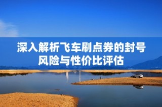 深入解析飞车刷点券的封号风险与性价比评估