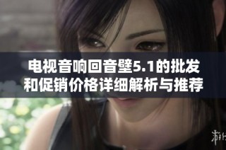 电视音响回音壁5.1的批发和促销价格详细解析与推荐