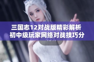 三国志12对战版精彩解析 初中级玩家网络对战技巧分享与策略建议