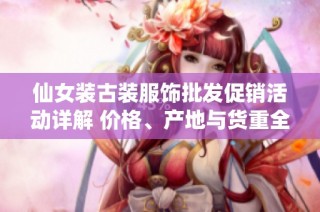 仙女装古装服饰批发促销活动详解 价格、产地与货重全解析