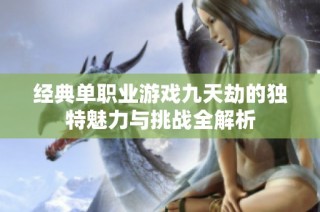 经典单职业游戏九天劫的独特魅力与挑战全解析