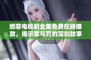 燃罪电视剧全集免费在线播放，揭示罪与罚的深刻故事